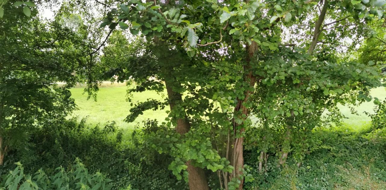 Gemuetliches Ferienhaus "An Der Schilde" In Renzow Екстериор снимка